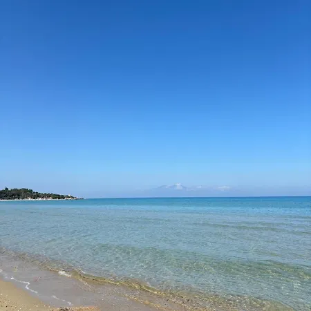Louloudi Apartment Tsilivi (Zakynthos)